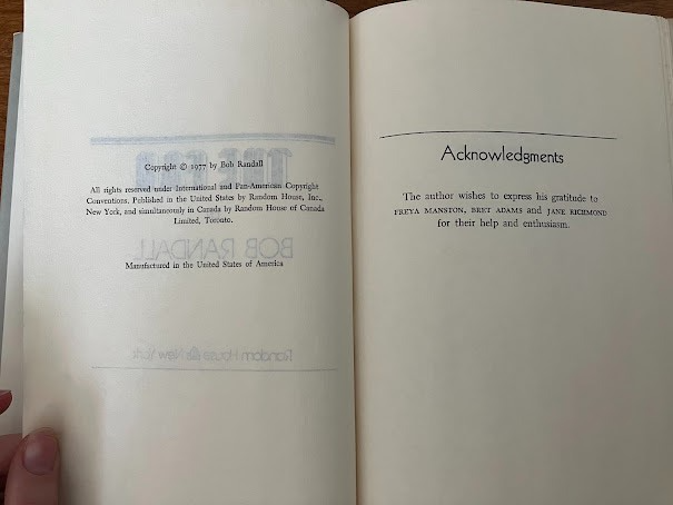 The Fan by Bob Randall