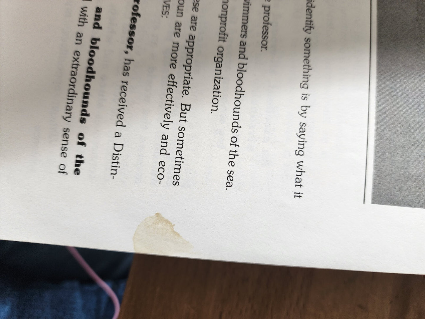 The writer's options: College sentence combining - Paperback