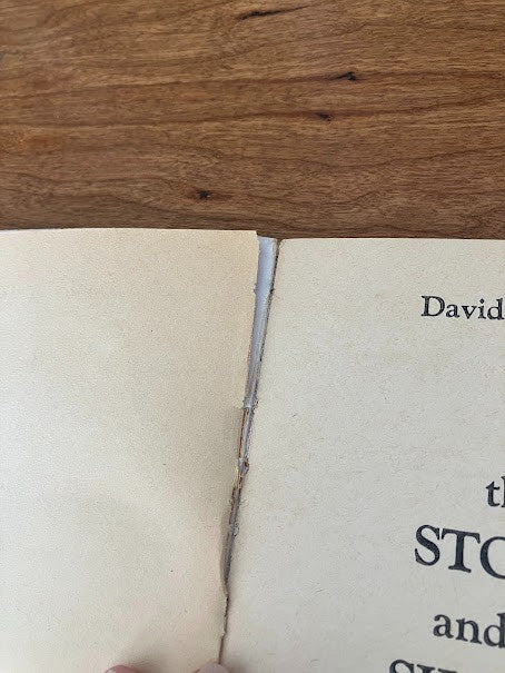 Vtg Paperback - The Storm and the Silence by David Walker