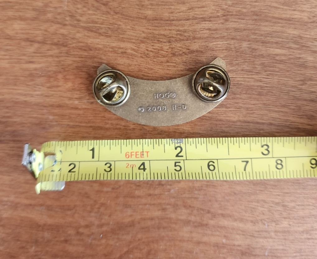 Harley Davidson Owners Group HOG 2009 Pin