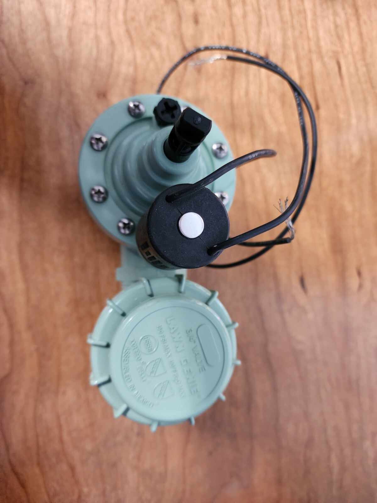 Lawn Genie Anti-Siphon Valve 3/4 in. 150 psi
