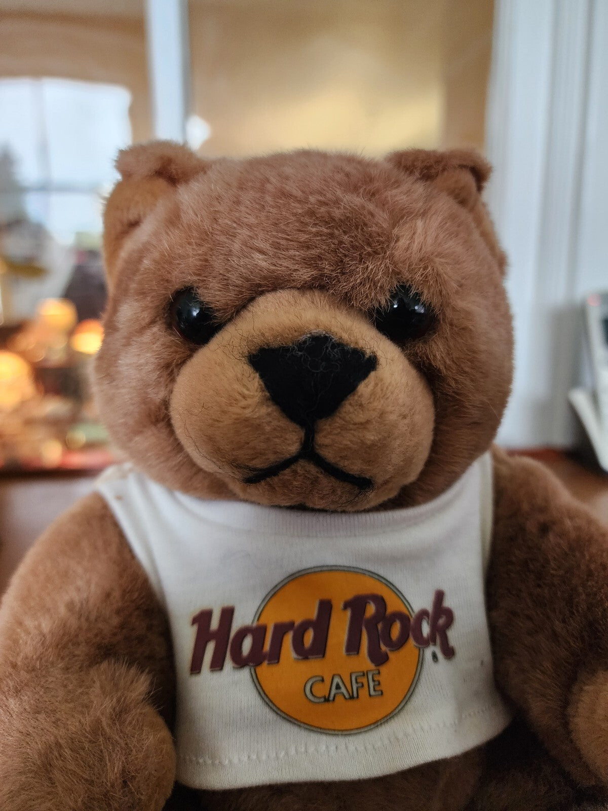 Hard Rock Cafe Teddy Bear 9" Plush