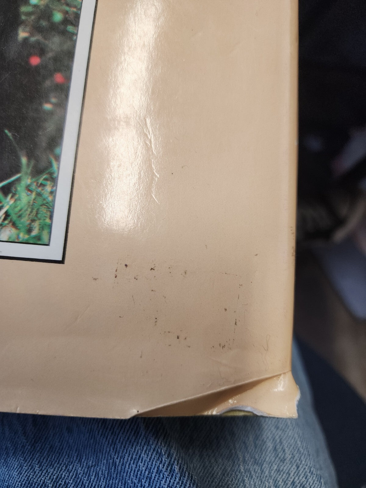 The Complete Book of Cat by Angelina Sayer - Good