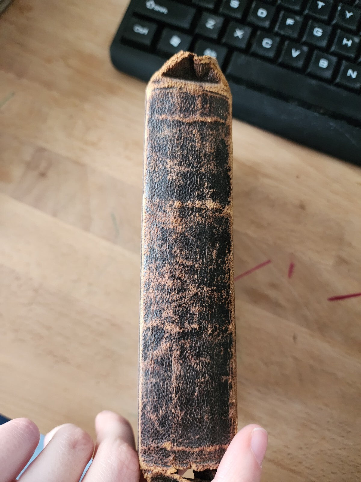 Holy Bible "moaps" 19th century - Leather