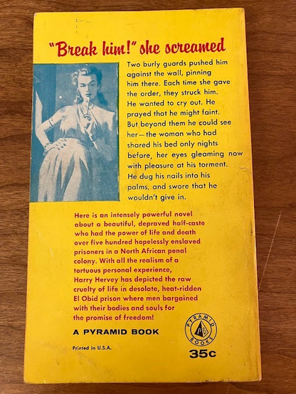 Vtg Paperbacks - "She Devil" & "Girl On The Loose" Pyramid Books - lot of 2