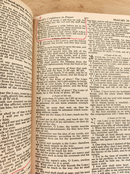 HOLY BIBLE Red Letter Edition, King James, Leather Bound - Vintage