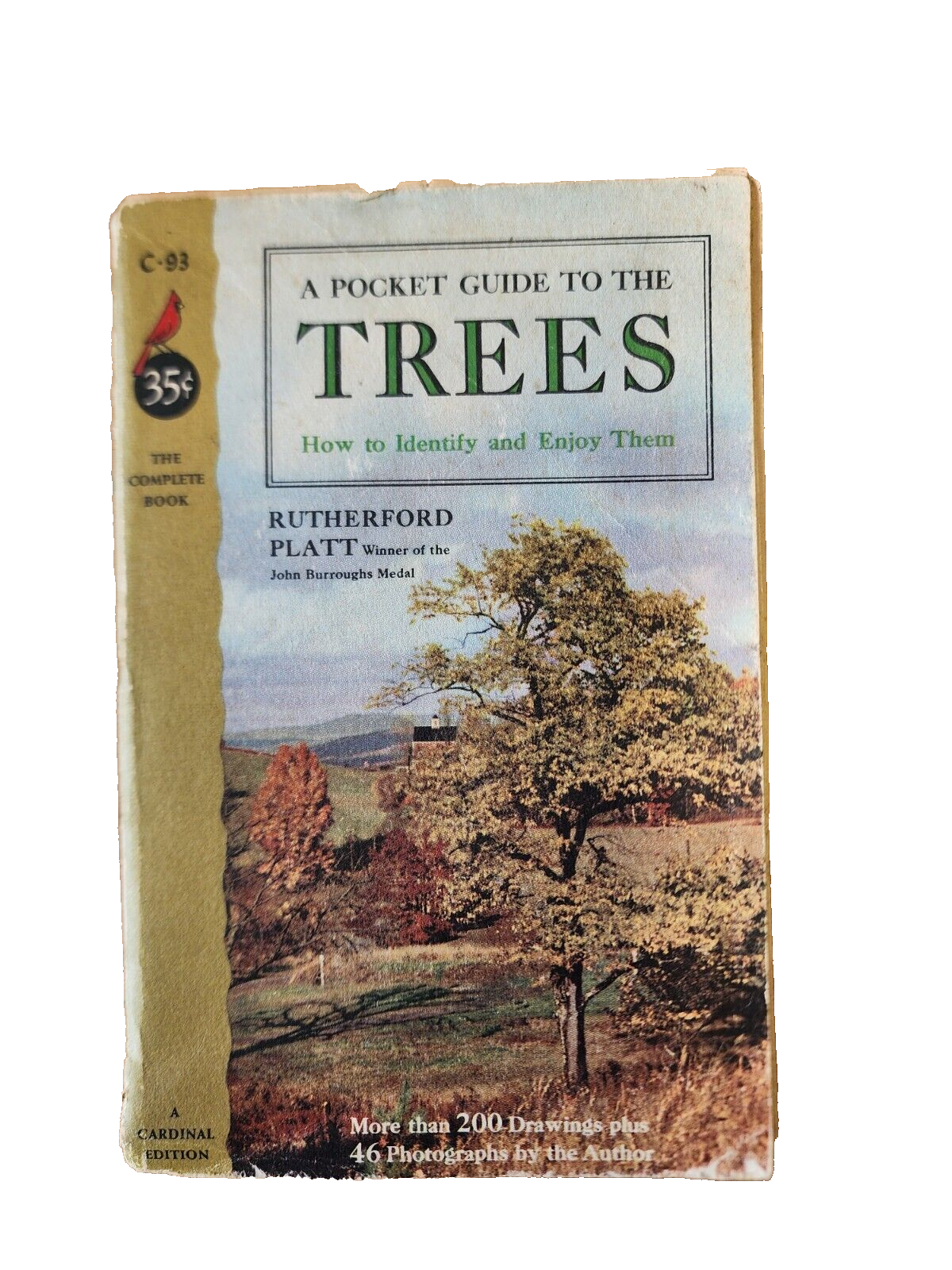 A Pocket Guide To Trees