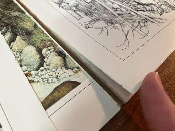 VISIONS: THE ART OF BEV DOOLITTLE - signed