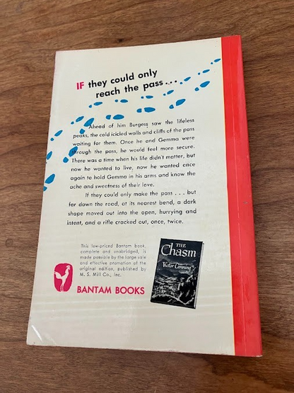 Vintage Paperback - Victor Canning: THE CHASM