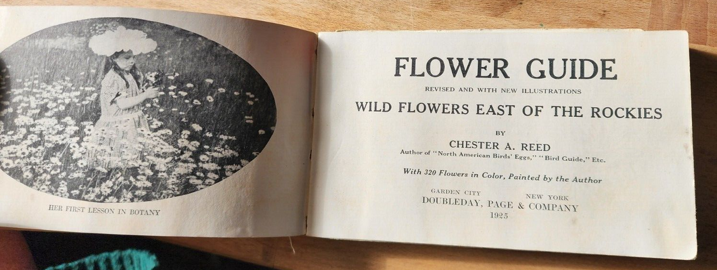 Flower Guide Wild Flowers East Of The Rockies Revised Edition 1925 Chester Reed