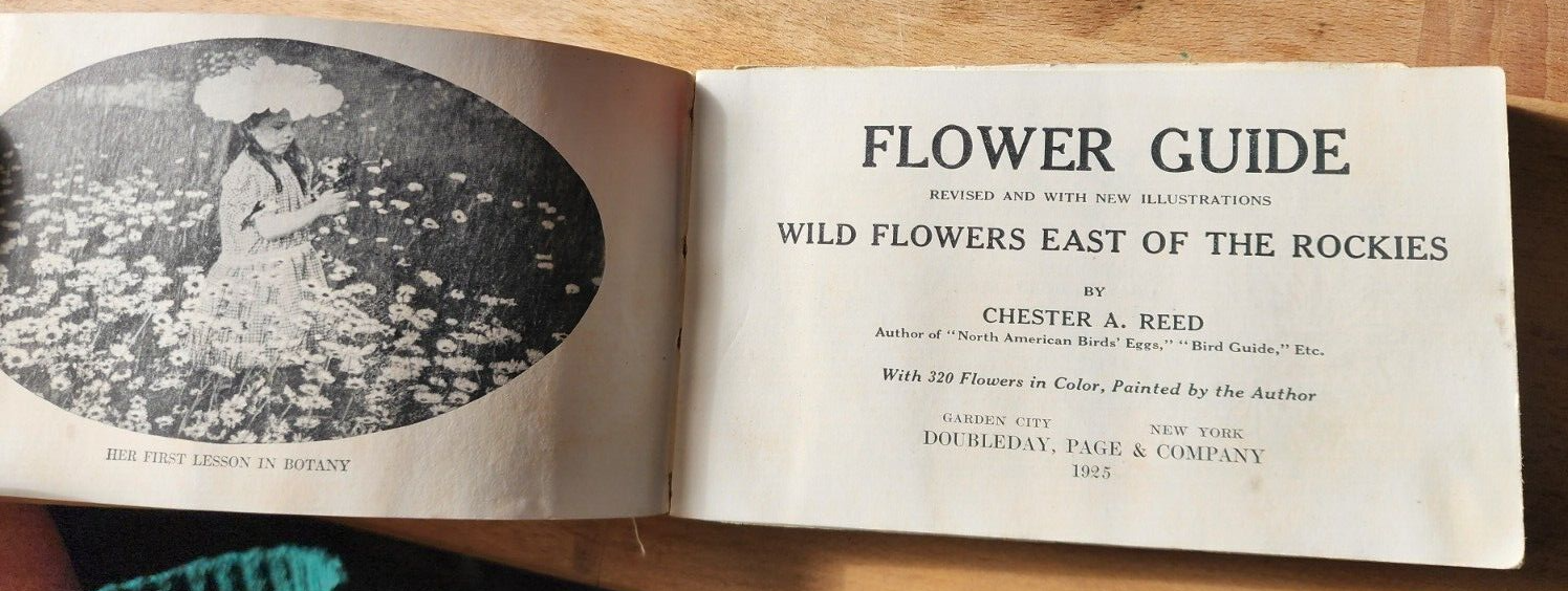 Flower Guide Wild Flowers East Of The Rockies Revised Edition 1925 Chester Reed