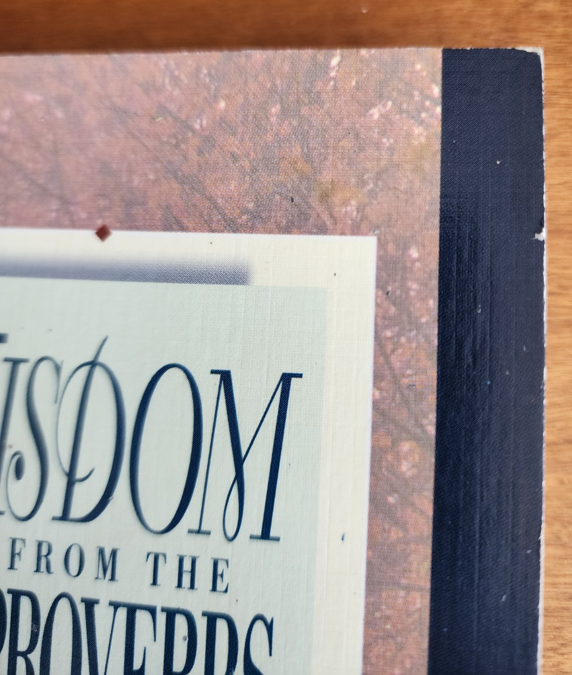 Wisdom from the Proverbs, Daily Thoughts and Meditations, Dan & Nancy Dick