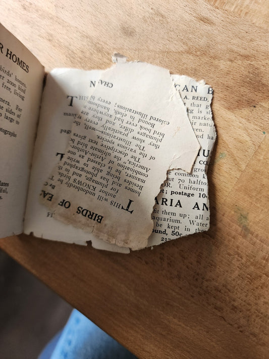 Flower Guide, Flowers east of the Rockies, 1913, leather back