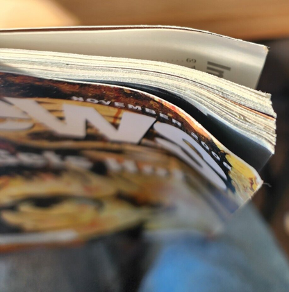 ArtNews November 2008 / Lisa Sigal, Street Art Magazine