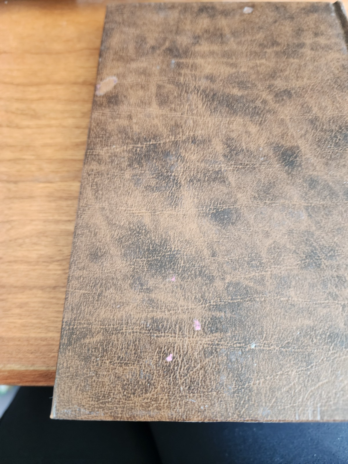 Vtg Marian Pilgrimage Prayer Book 1986