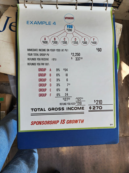 OOAK Vintage Amway Poster Examples In a Binder Folder