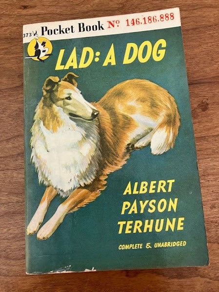 Vtg Paperback - Lad: A Dog Albert Payson Terhune