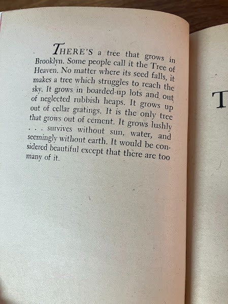 Bantam Books - A Tree Grows in Brooklyn by Betty Smith