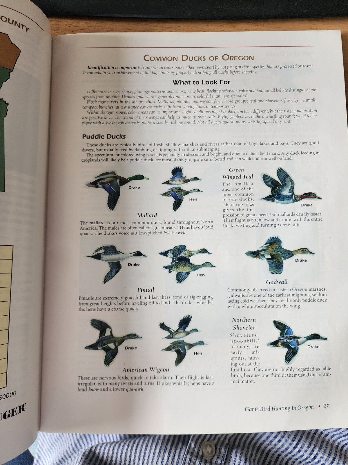 Game Bird Hunting in Oregon: A guide to public hunting opportunities