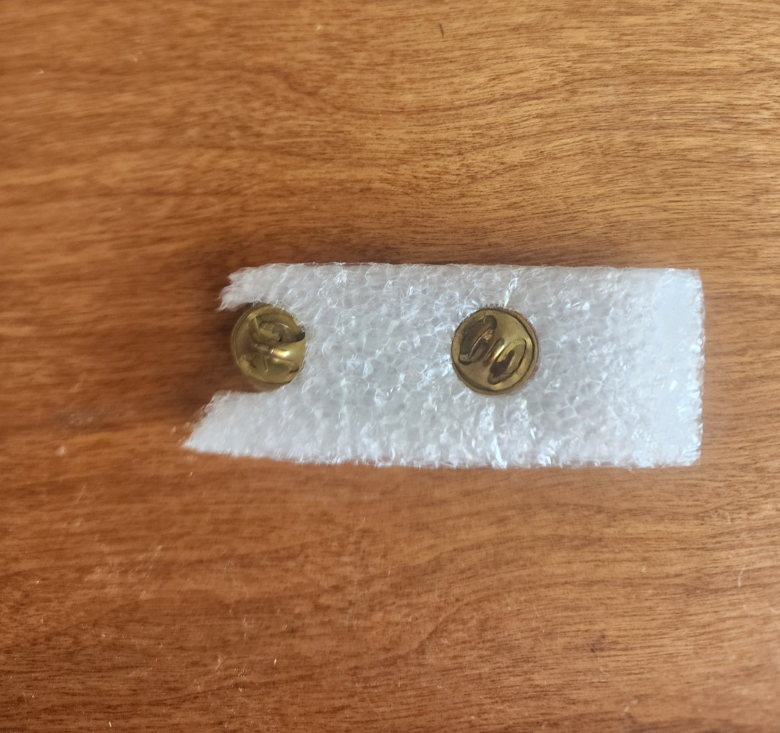 Harley Davidson Owners Group HOG 2009 Pin