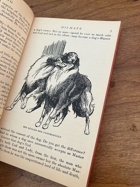 Vtg Paperback - Lad: A Dog Albert Payson Terhune