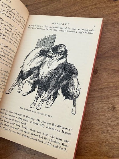 Vtg Paperback - Lad: A Dog Albert Payson Terhune
