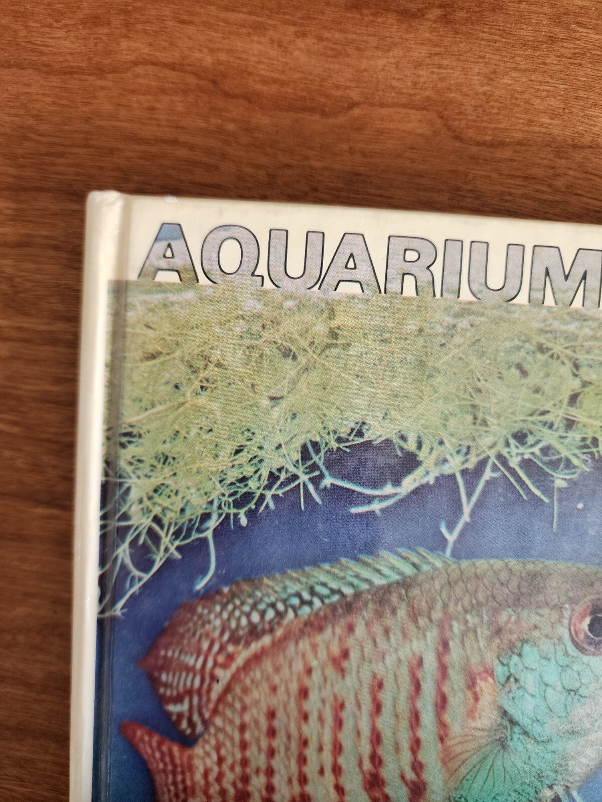 Aquarium Fish - Hardcover By U. Erich Friese
