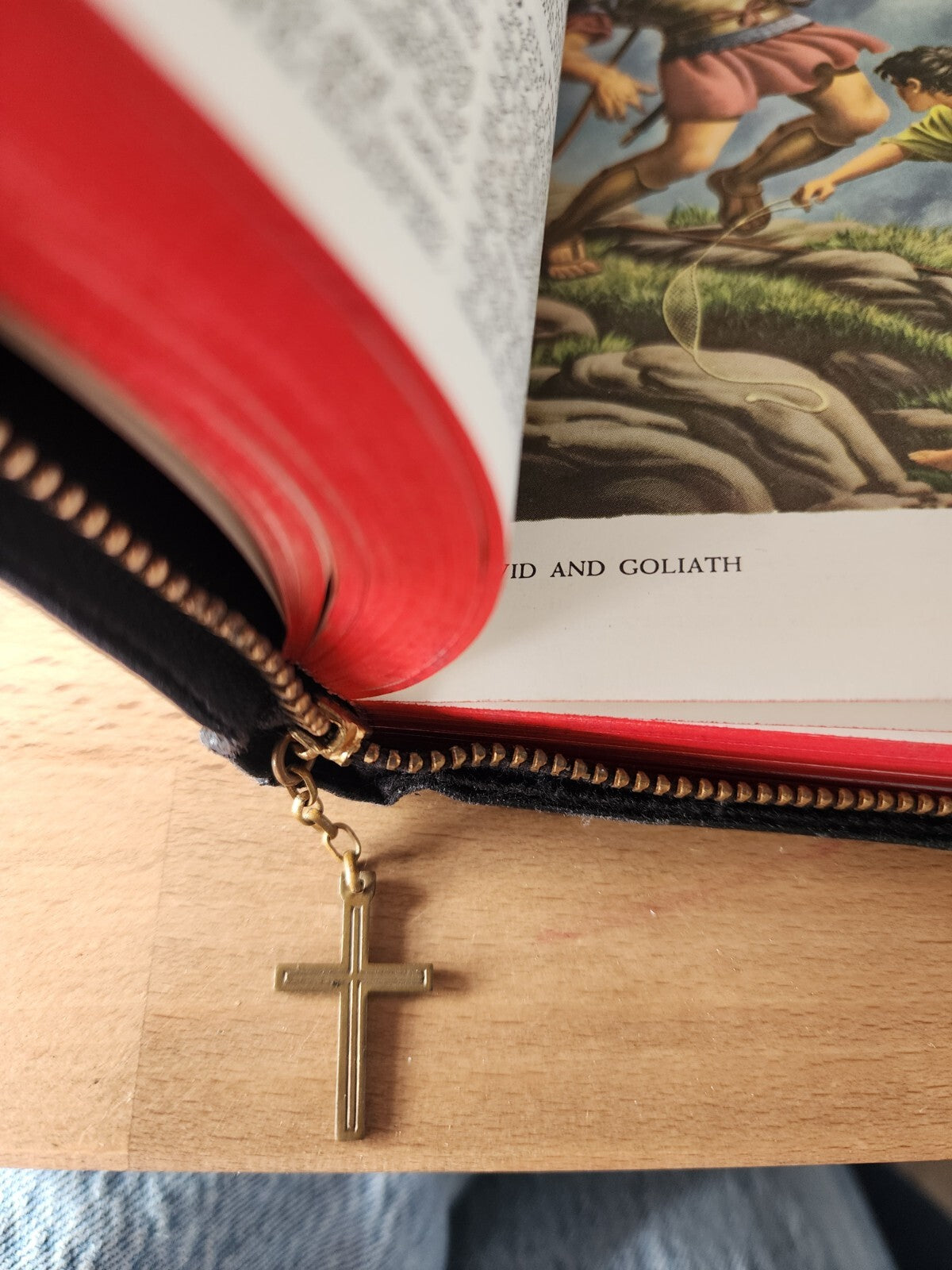 Vtg HOLY BIBLE KJV Leather Zippered Red Letter Edition World Illustrated